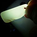 新加自然光照片大家帮忙看看这是什么