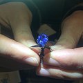 GIC开的“Cornflowerblue”可靠么？