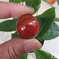 红色美珠（材料 上谷战国红）