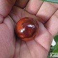 红色美珠（材料 上谷战国红）