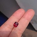 麻烦大神看看这个红宝可以收不