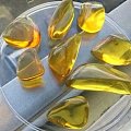 缅甸天然琥珀 金兰珀，冬日里，一股暖流到来了！！