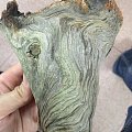 太行陈化崖柏小树随形手把件制作全过程。