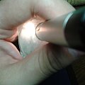 急出！急出！冰糯种飘兰花如意翡翠