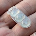 【紫阳翡翠】老坑冰种天然翡翠富贵豆