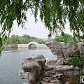。。五月天。。五支牡丹美镯。。。独品玉斋