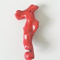 这是红珊瑚么 ，很不起眼 ，捡的，大家看看是不是真的
