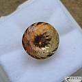 4.6CT，爱上金闪闪，金金绿绿，万花筒