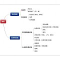 【真伪琥珀分类】一个图都搞定！