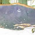 缅甸国宝 1.9亿的玻璃紫2010秋季缅甸翡翠原石拍卖的标王