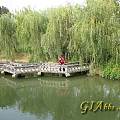上海水博园的风景