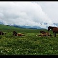 唯美新疆.喀拉峻草原（一）