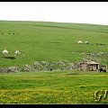 唯美新疆.喀拉峻草原（一）