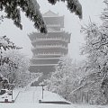 今天辽宁又降大雪了给大家发图看看