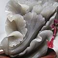 烟青玉白菜，请老师们评个价