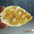 叶公好龙