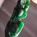 翡翠绿鳄鱼