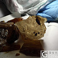 什么是柯巴(copal)?和琥珀有什么区别?有图有真相