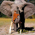 [转]Tippi：一个来自非洲丛林的小泰山