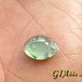 [冰冰翠]起光冰种飘蓝绿花鼓厚福瓜