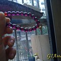 绝色，美艳，再晒紫牙乌，图多，猫都不够杀