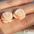 特价:一对深水粉 珊瑚 玫瑰