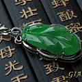 910教师节镶嵌翡翠欣赏