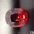 潛水君首秀——緬甸紅尖晶4.215ct