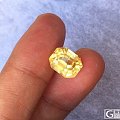 7.01ct 无烧黄色蓝宝石……