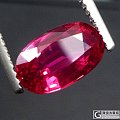 非洲不明产地，无烧红宝石2.5ct