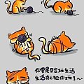 好萌的猫咪漫画——卡哇伊的