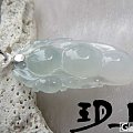 【无艳·扉玥】12.17一对白冰起光福鼠豆豆