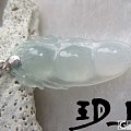【无艳·扉玥】12.17一对白冰起光福鼠豆豆