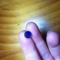 1.71克拉斯里兰卡蓝宝石，最爱圆形，可做成吊坠戒指能，好美哦