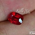 kelly_jewelry 无烧鸽血红 皇家蓝 矢车菊蓝宝石 欢迎品鉴