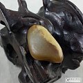 【暖枫阁】今天淘的一个和田玉红沁小籽料原石，22.3g