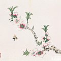 《广广的十二花神记》三月花神——桃花