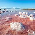 克里米亚粉色盐湖——有机会一定要去看看（转自新浪微博）