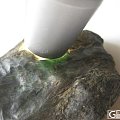 精品!高冰翡翠蓝水小料,欢迎各位给我意见