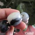 籽料墨玉青花手串鉴赏