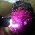 紫色石榴原料——这货假不假！！