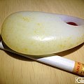 洒金皮！感觉我用手机也能拍出她的美！