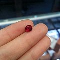 能看出这是什么红宝石吗？