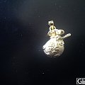11月14号的福袋和耳钉----有比我图还渣的吗？