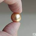 极品南洋金珠 12.2mm 皮光亮泽 正圆 无瑕疵 接受订制 附证书