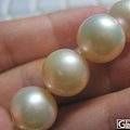 淡水异彩大珍珠，求鉴定
