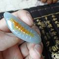 和田青花黄皮籽蜈蚣100特价包邮