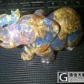 我的多米尼加蓝珀大摆件和吊坠