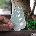 新品上架 大叶 紫扣 龙牌