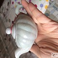 转套翡翠茶具摆件